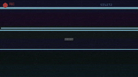 周末随拍记录 - 91.n 原创视频